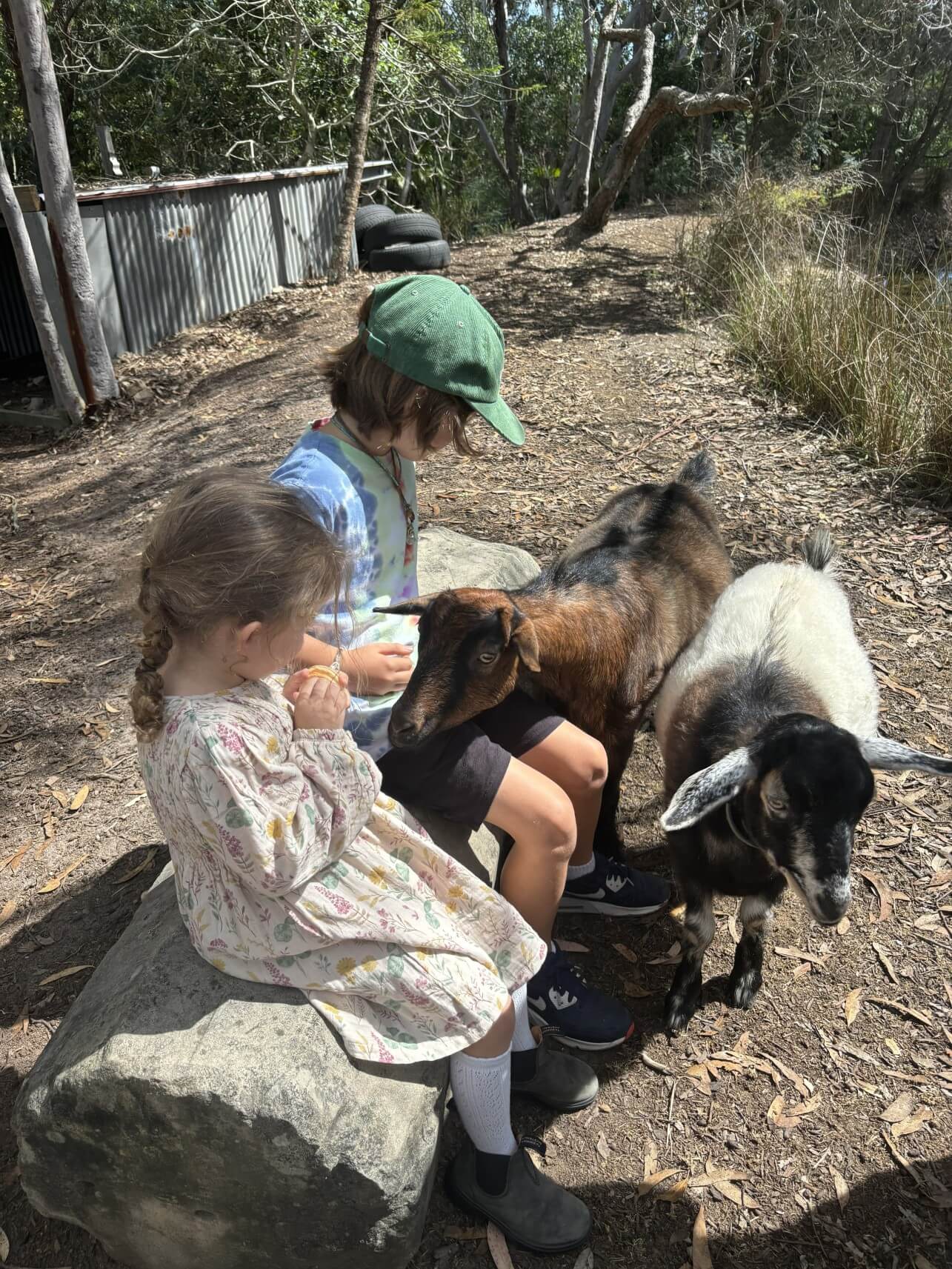 The Waratah Farm
