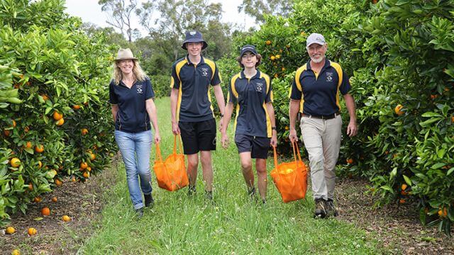 Family of 4, mum, dad and 2 teenage boys walking through orange orchard in Meliora Farm uniform