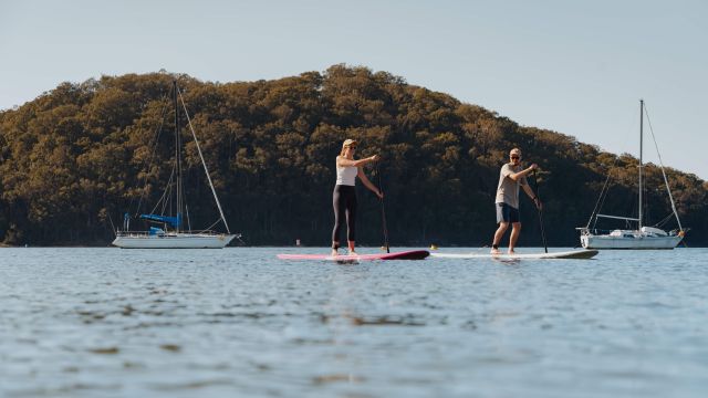 two people stand up paddle boarding on ocean with scenic green backdrop