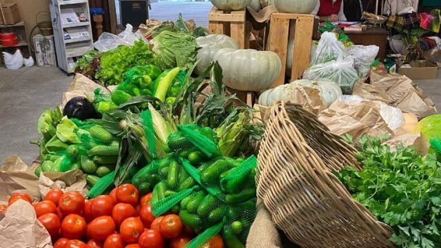 Veggies in the shed at Mountain Growers 