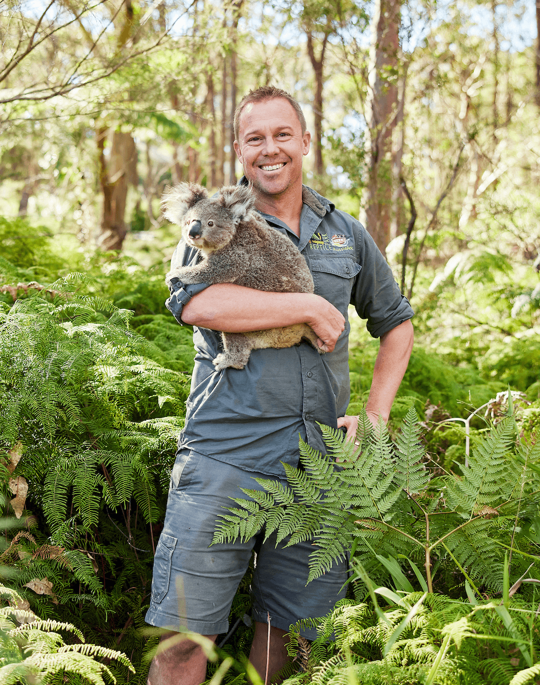 ranger holding koala kindly