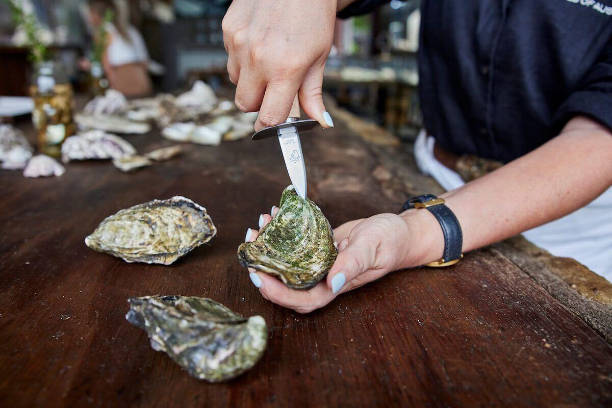 broken bay pearl farm