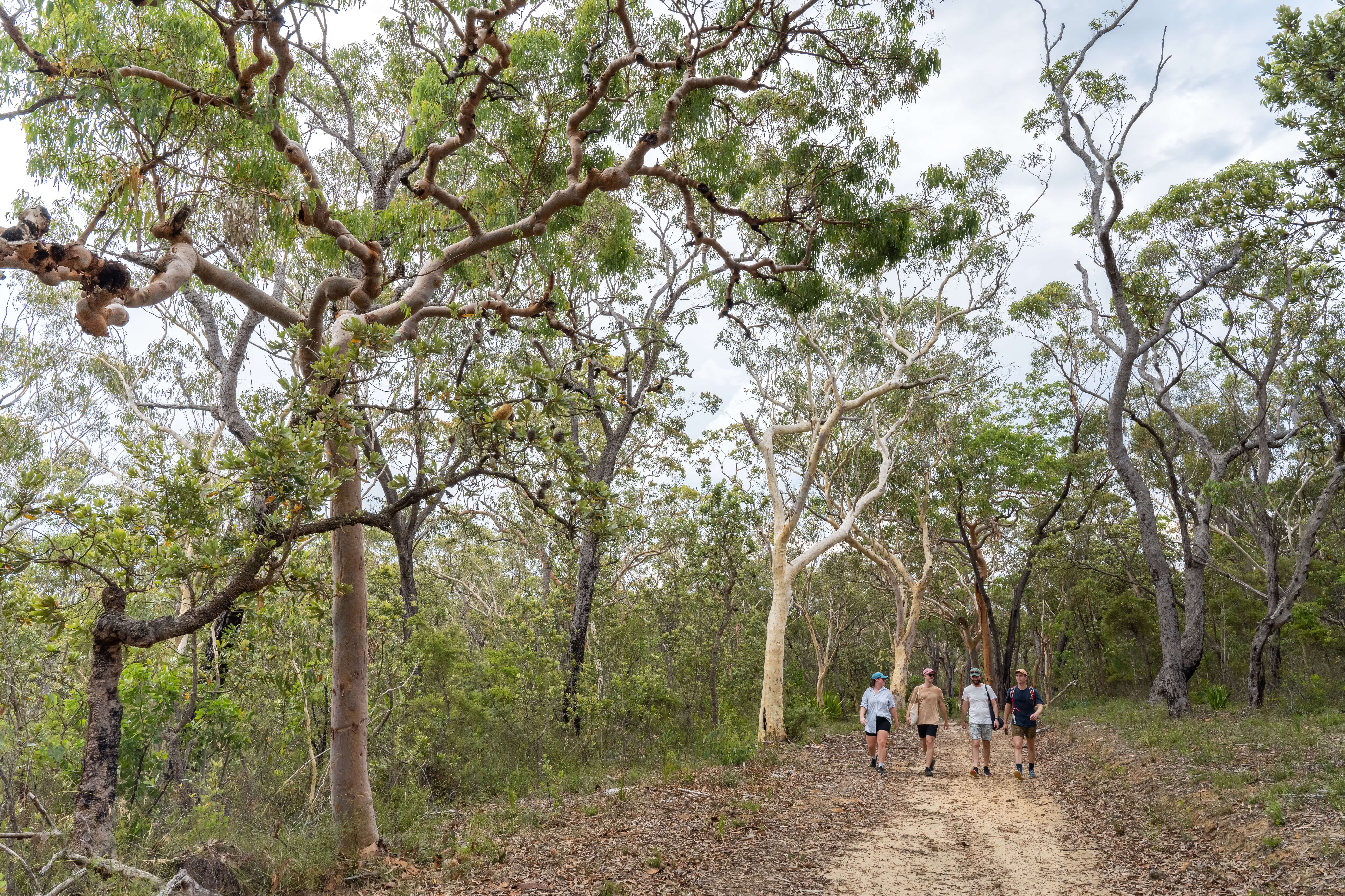 Popran National Park bushwalking group