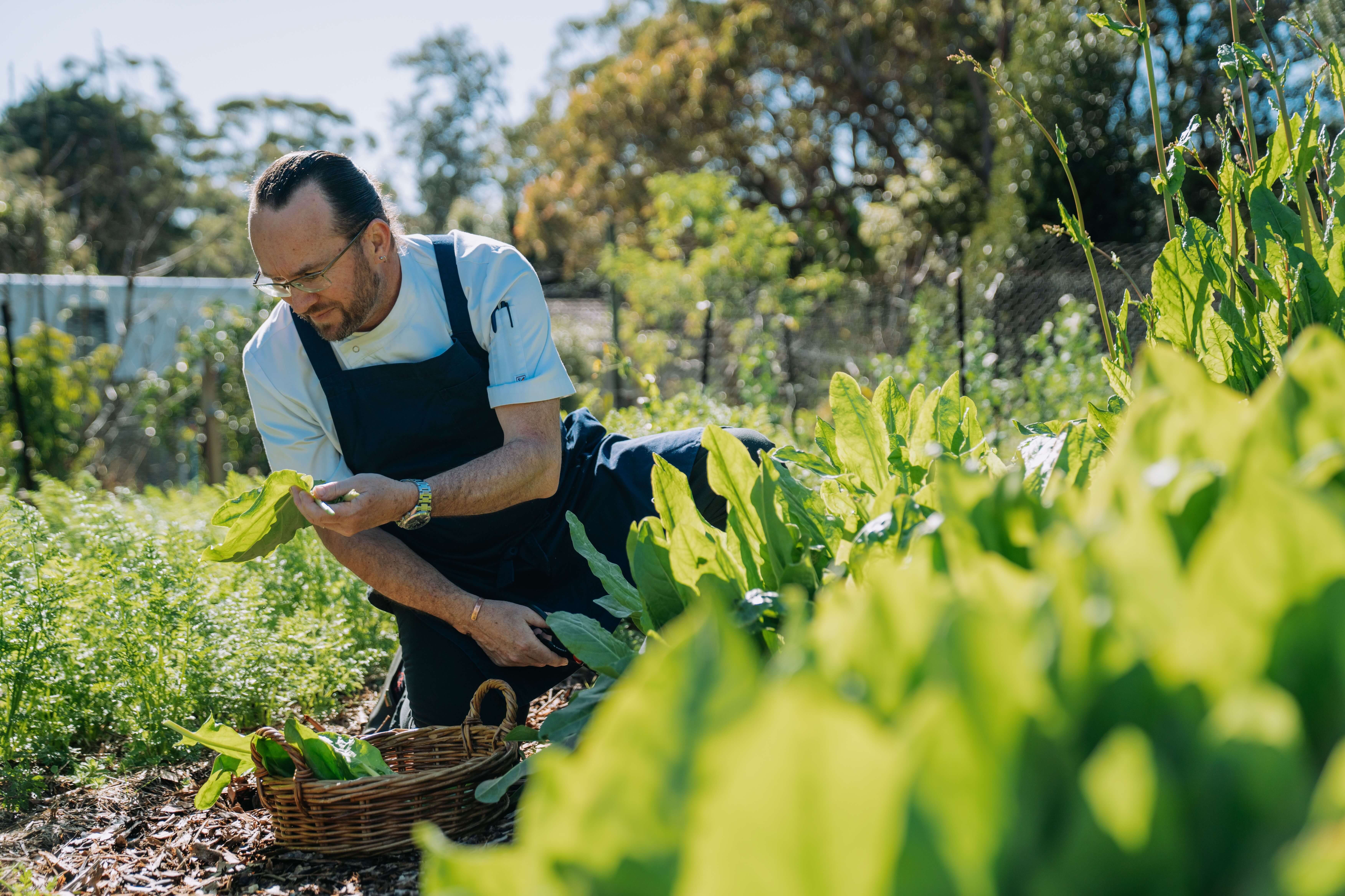 executive chef sourcing produce from kitchen garden