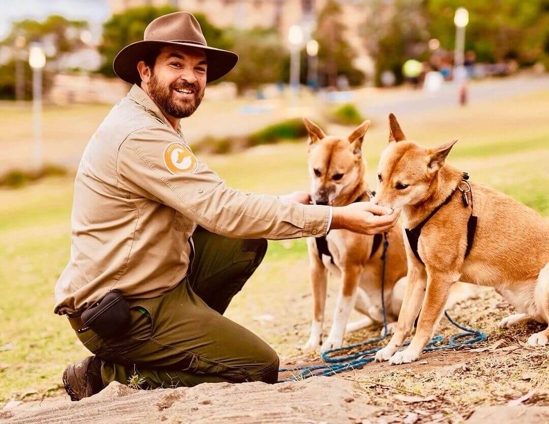A man kneels with two dingos, capturing a joyful moment.