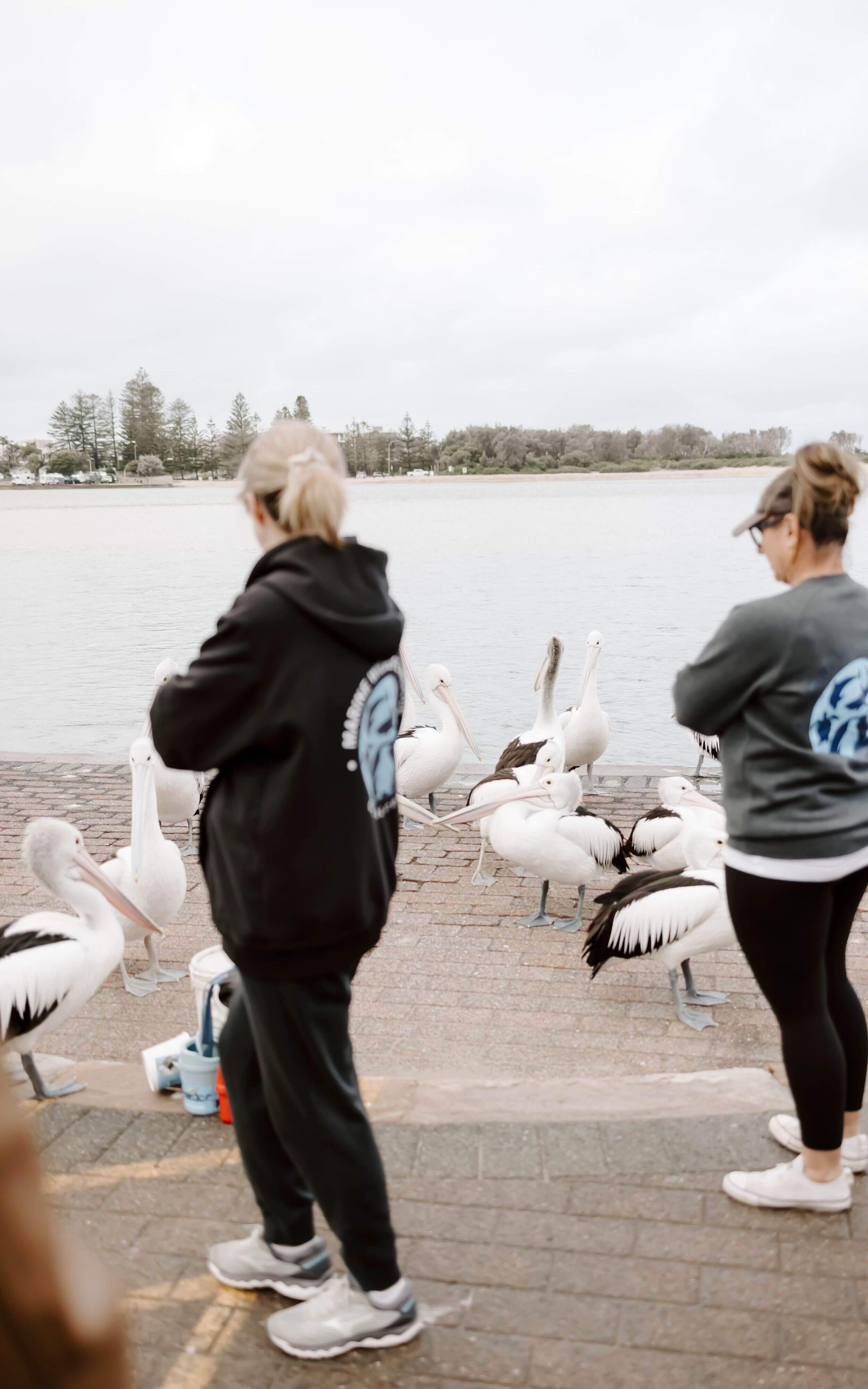 Two women are near a flock of pelicans at The Entrance, sharing a moment of joy in a picturesque natural setting.