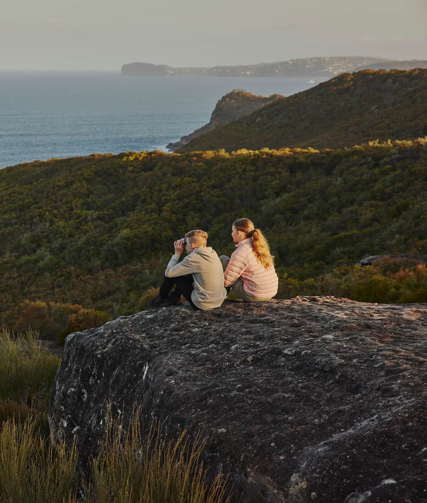 WhaleWatching_BoxHead_James Horan.jpg 
