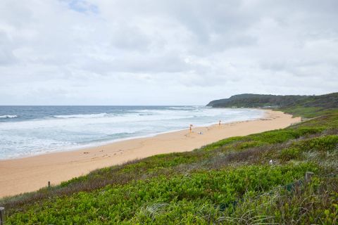 Shelly Beach
