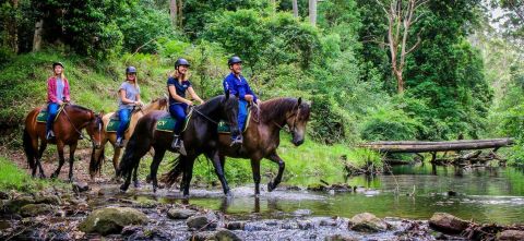 Glenworth Valley Outdoor Adventures