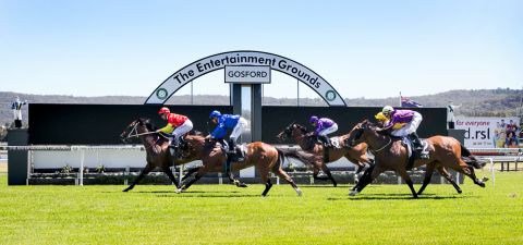 The Entertainment Grounds