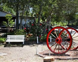 red cannon wheels and bench